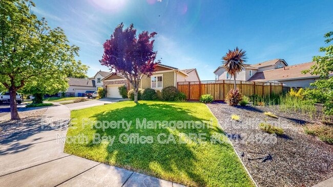 8744 Merlot Way in Windsor, CA - Building Photo - Building Photo