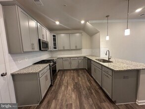 43353 Radford Divide Ter in Ashburn, VA - Building Photo - Building Photo