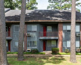 Paper Moon Apartments in Huntsville, TX - Building Photo - Building Photo