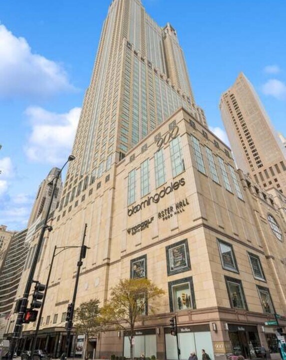 132 E Delaware Pl in Chicago, IL - Building Photo