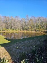 17752 Nectar Flume Dr in Land O Lakes, FL - Building Photo - Building Photo