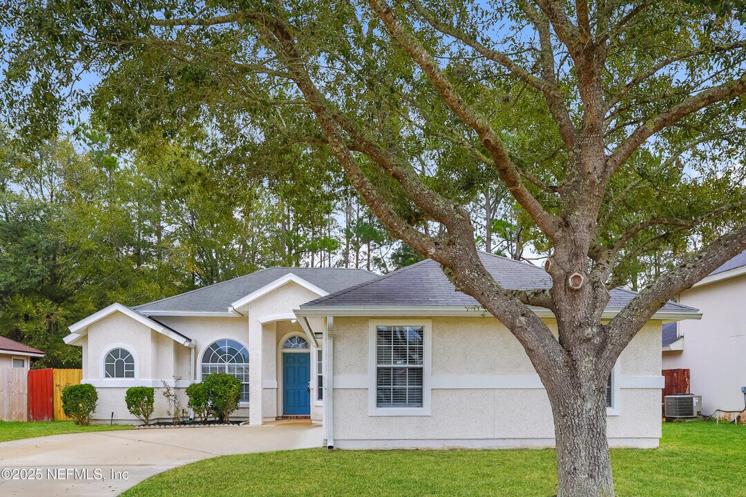 1131 Summer Springs Drive in Middleburg, FL - Building Photo