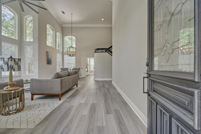 38 Larks Aire Pl in Spring, TX - Building Photo - Building Photo