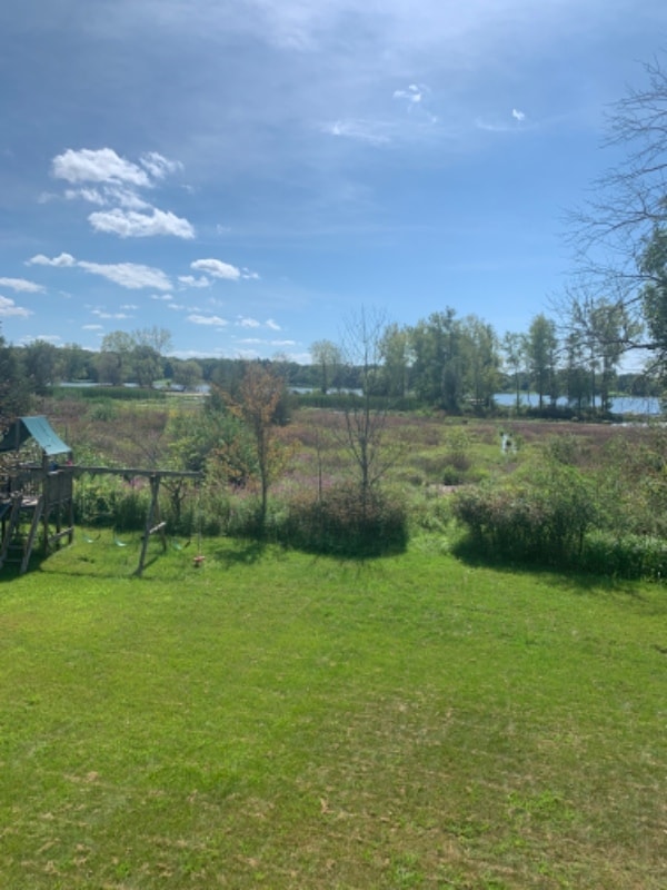 property at 15366 Bayou Meadows Ct