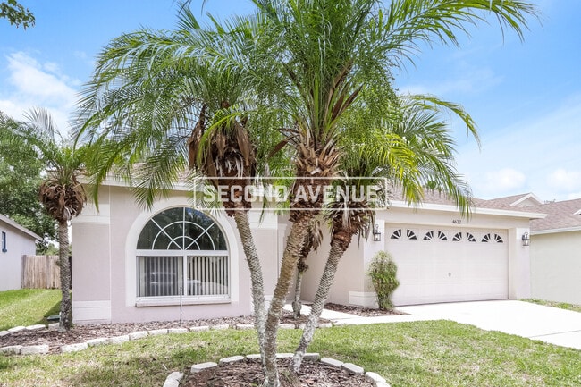 4622 Tailfeather Ct in Land O Lakes, FL - Foto de edificio - Building Photo