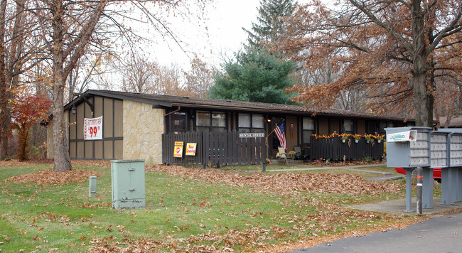 Chelsea Court Apartments in Youngstown, OH - Building Photo - Building Photo