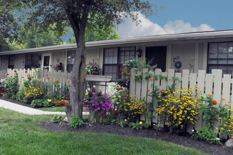 Thornapple Apartments in Columbus, OH - Building Photo - Building Photo