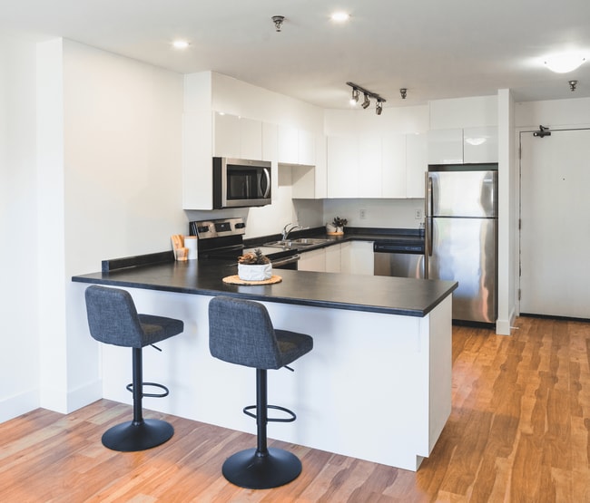 Rutledge Manor in St John's, NL - Building Photo - Building Photo