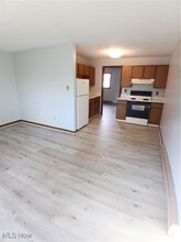 31 Elm St, Unit B3 in Struthers, OH - Building Photo - Building Photo