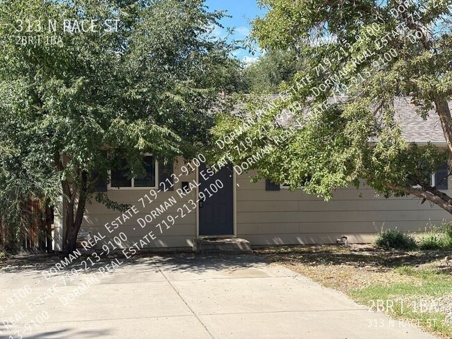property at 313 N Race St