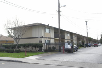 Schafer Road Apartments in Hayward, CA - Building Photo - Building Photo