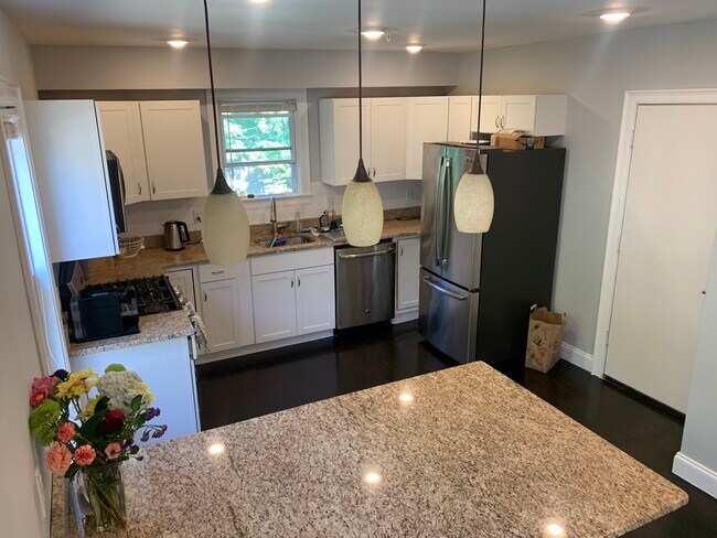 45 St Paul St, Unit 3 in Brookline, MA - Building Photo - Building Photo
