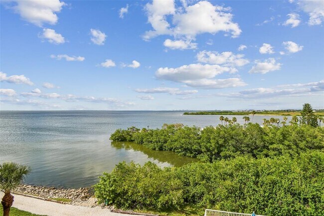 property at 5000 Culbreath Key Way