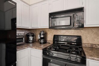 1504 Black Cherry Dr in Cedar Park, TX - Building Photo - Building Photo