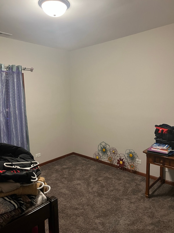 19239 W Fairview Dr in Mundelein, IL - Building Photo - Building Photo