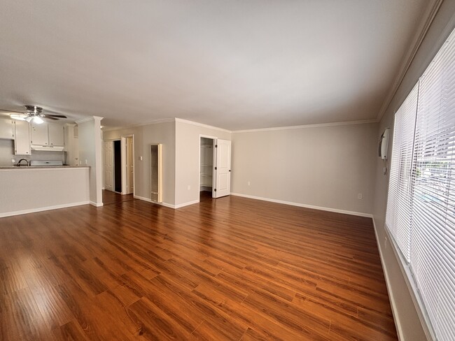 5711 Camellia Ave, Unit 207