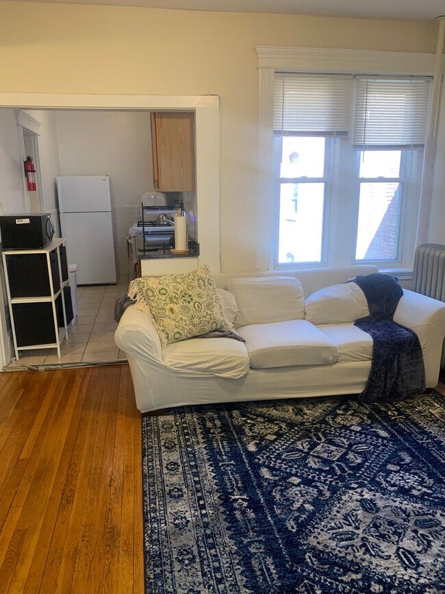 8 Fuller St in Brookline, MA - Building Photo - Building Photo