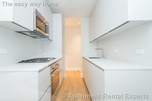 286 Chestnut Hill Ave, Unit #16 in Boston, MA - Building Photo