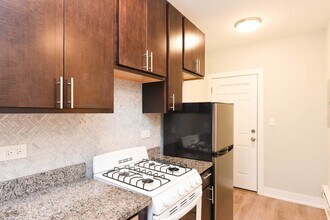 436 W Belden Ave in Chicago, IL - Building Photo - Building Photo