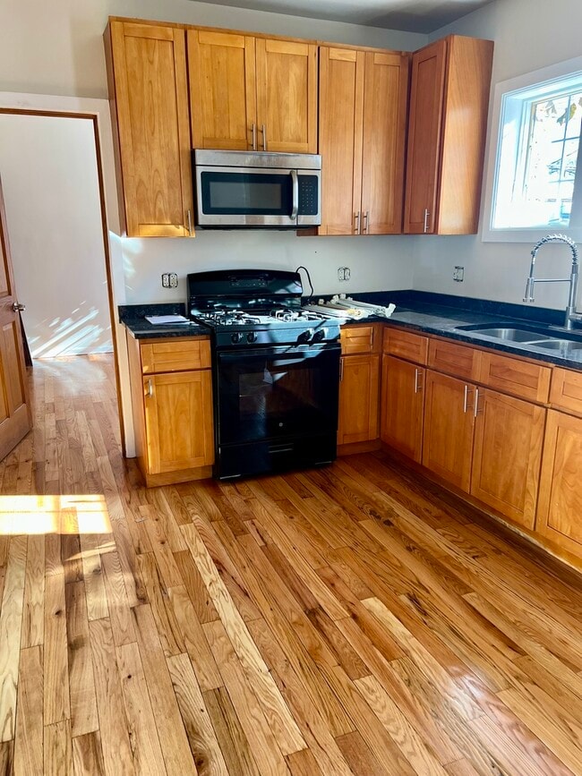 1741 N Long Ave in Chicago, IL - Building Photo - Building Photo