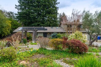 1010 Borrette Ln in Napa, CA - Building Photo - Building Photo