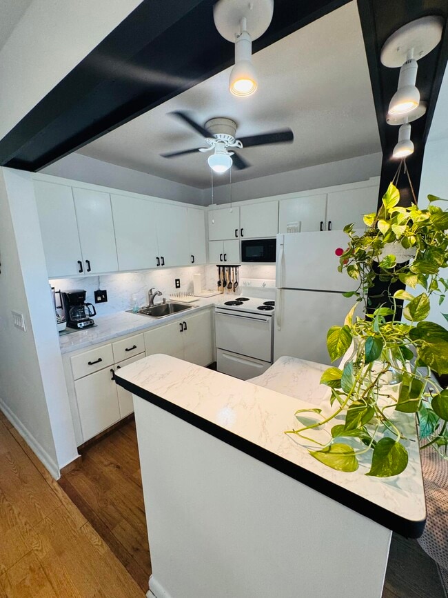 property at 16 Windsor A