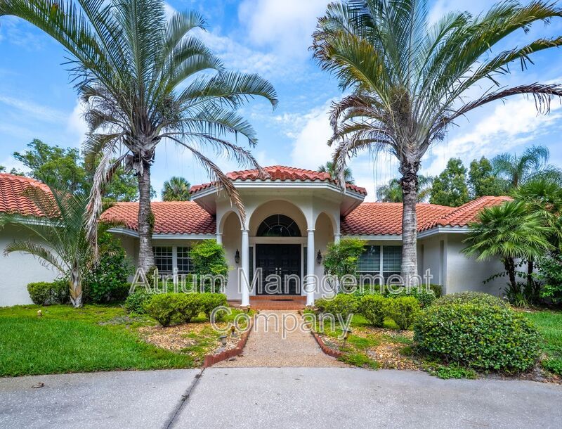 6136 Dora Dr in Mount Dora, FL - Building Photo