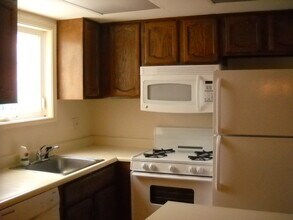 321 Meadow Green Ln in Round Lake Beach, IL - Building Photo - Building Photo