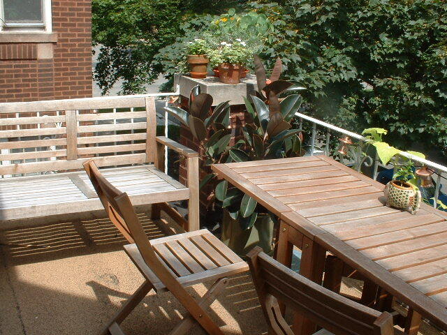 3650 N Oakley Ave in Chicago, IL - Building Photo - Building Photo