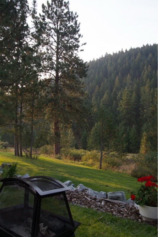 9491 Miller Creek Rd in Missoula, MT - Building Photo - Building Photo