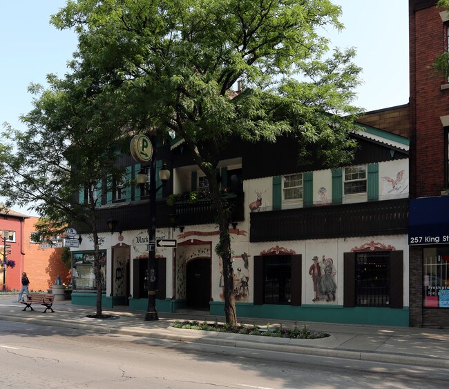 249-255 King St W in Hamilton, ON - Building Photo - Building Photo