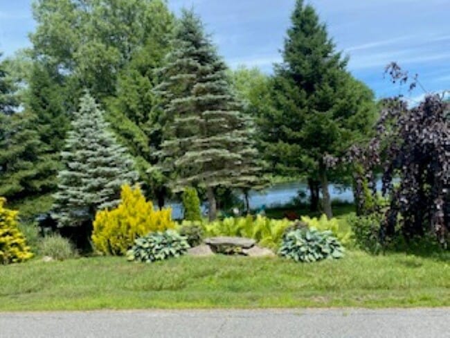 646 Old Connecticut River Rd in Springfield, VT - Building Photo - Building Photo