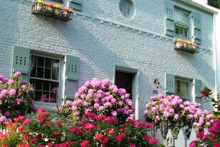 4514 Albemarle St NW, Unit 1