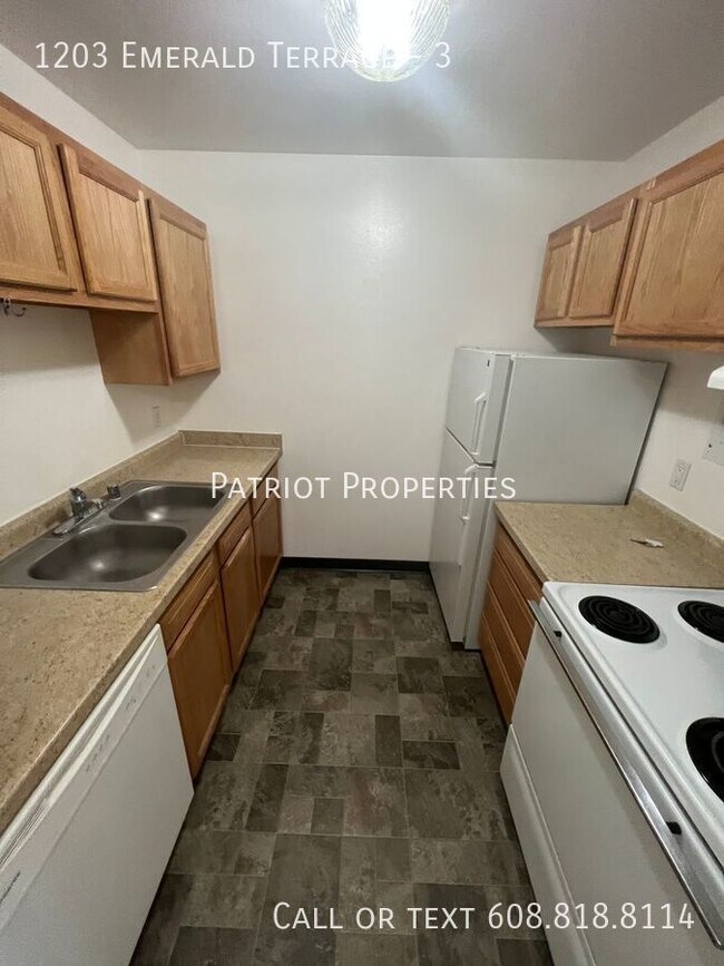 1203 Emerald Terrace, Unit 3 in Sun Prairie, WI - Building Photo - Building Photo