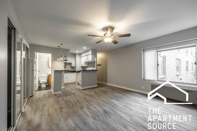 744 W Gordon Terrace in Chicago, IL - Foto de edificio - Building Photo