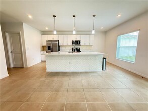 4803 Vellacito Way in Davenport, FL - Building Photo - Building Photo