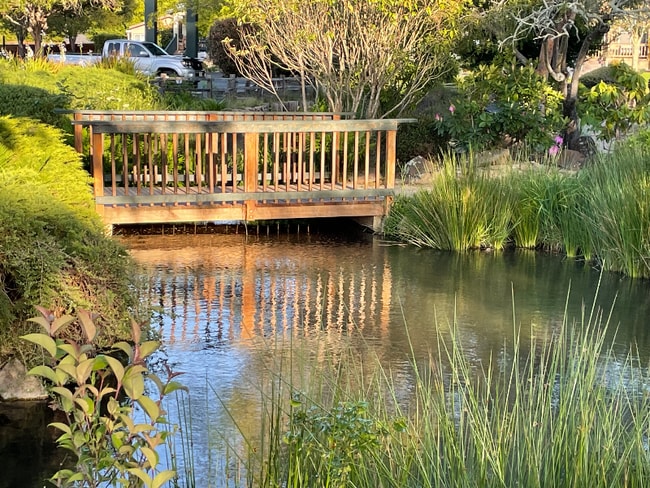 444 Whispering Pines Dr in Scotts Valley, CA - Foto de edificio - Building Photo