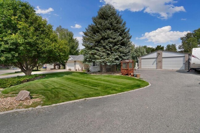 709 Jay Ave in Johnstown, CO - Foto de edificio - Building Photo