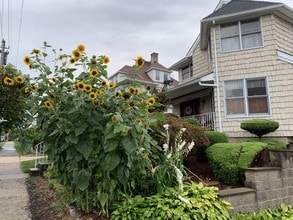 225 Sickles Ave, Unit 1 in New Rochelle, NY - Building Photo - Building Photo