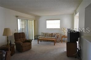 120 Hibiscus Woods Ct in Deltona, FL - Building Photo - Building Photo