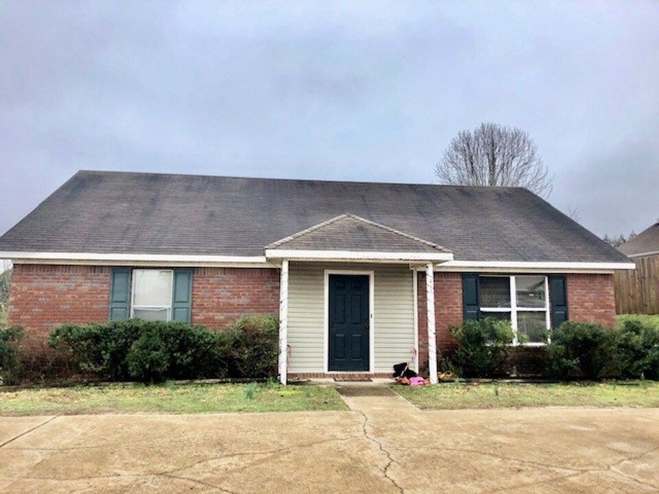 415 Beauregard Circle in Oxford, MS - Building Photo