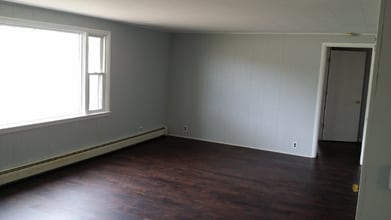 3919 W Polk Rd in Hart, MI - Building Photo - Building Photo