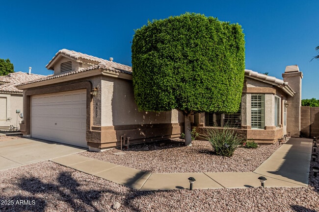 6615 W Saddlehorn Rd in Phoenix, AZ - Building Photo - Building Photo