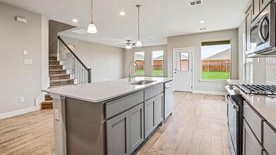 14517 Caelum Dr in Haslet, TX - Building Photo - Building Photo