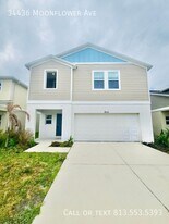 34436 Moonflower Ave in Wesley Chapel, FL - Building Photo