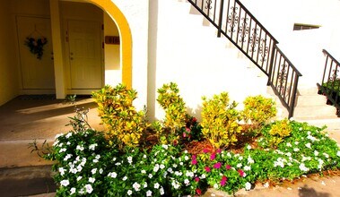 2900 Olivewood Terrace in Boca Raton, FL - Building Photo - Building Photo