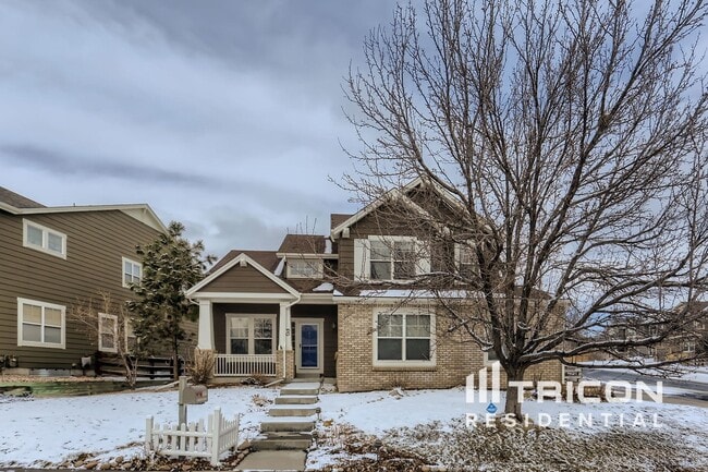 4565 Larksong Dr in Castle Rock, CO - Building Photo - Building Photo