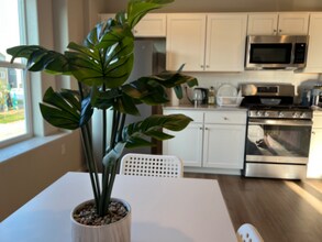 5235 Aeroglide Lp in Colorado Springs, CO - Building Photo - Building Photo