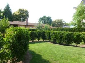 Historic Goodman Mansion in Napa, CA - Building Photo - Other