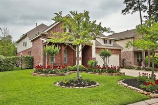 106 W Arbor Camp Cir in Spring, TX - Foto de edificio - Building Photo